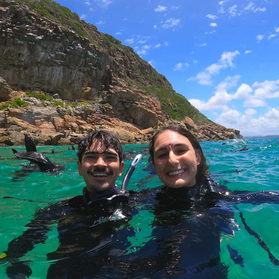 Malvorlagen. Kleine süße Robbenbabys schwimmen. Stock-Vektorbild von  ©ya-mayka 116839550, image size:900x900