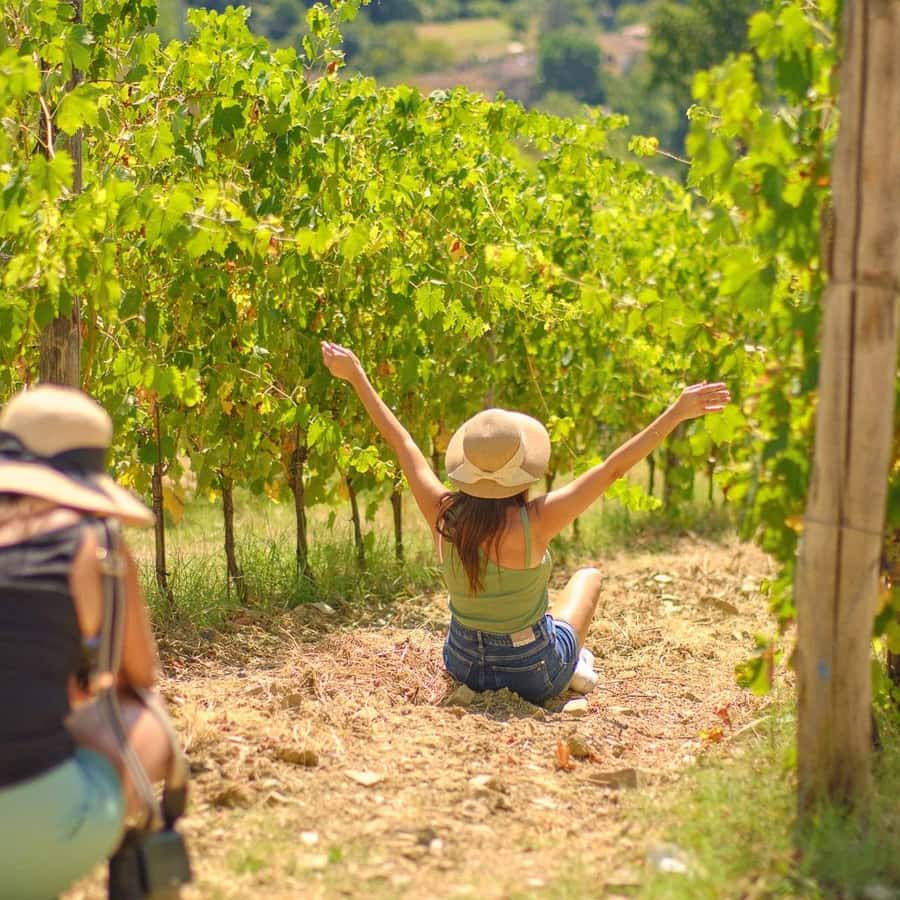 Florence: Chianti Wineries Tour with Food and Wine Tasting