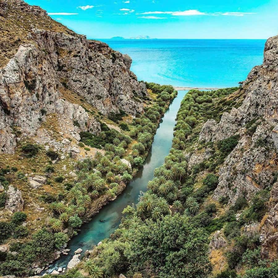 Από το Ρέθυμνο: Ρεθύμνου: Παραλία Πρέβελη και Κουρταλιώτικο Ημερήσια  εκδρομή | GetYourGuide