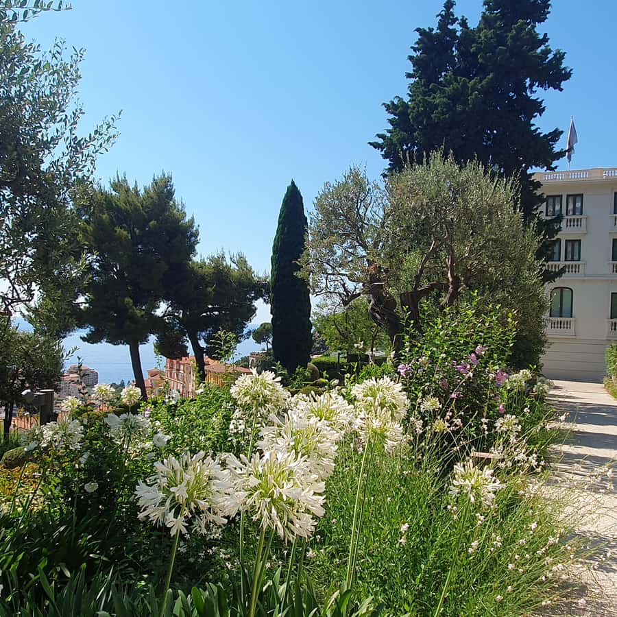 摩纳哥：海洋博物馆与亲王座驾导览之旅| GetYourGuide, image size:900x900