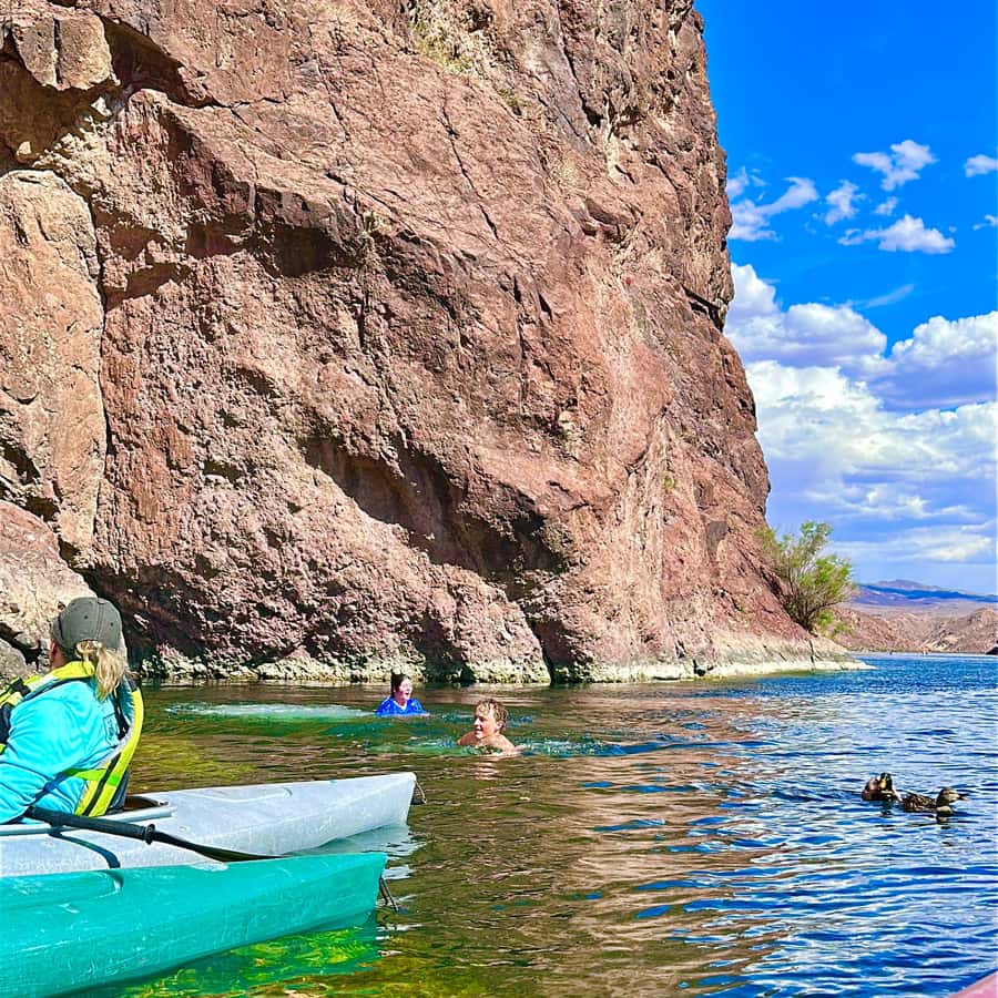 ウィロービーチ：エメラルド洞窟カヤックツアー | GetYourGuide