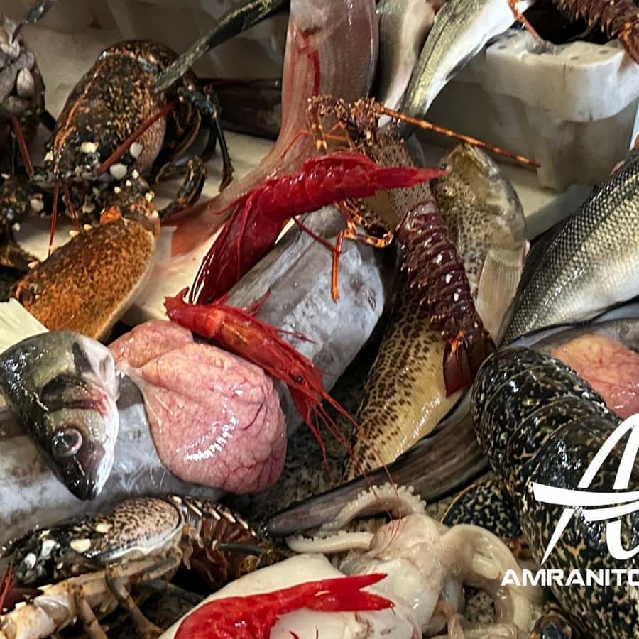 カディスからタンジェ・モロッコへの日帰り旅行 オールインクルーシブ