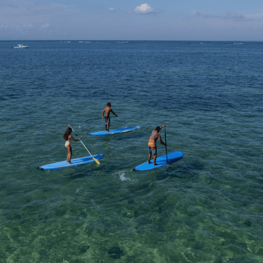 b29eb2ca019b3b035fbfcde7ec53df