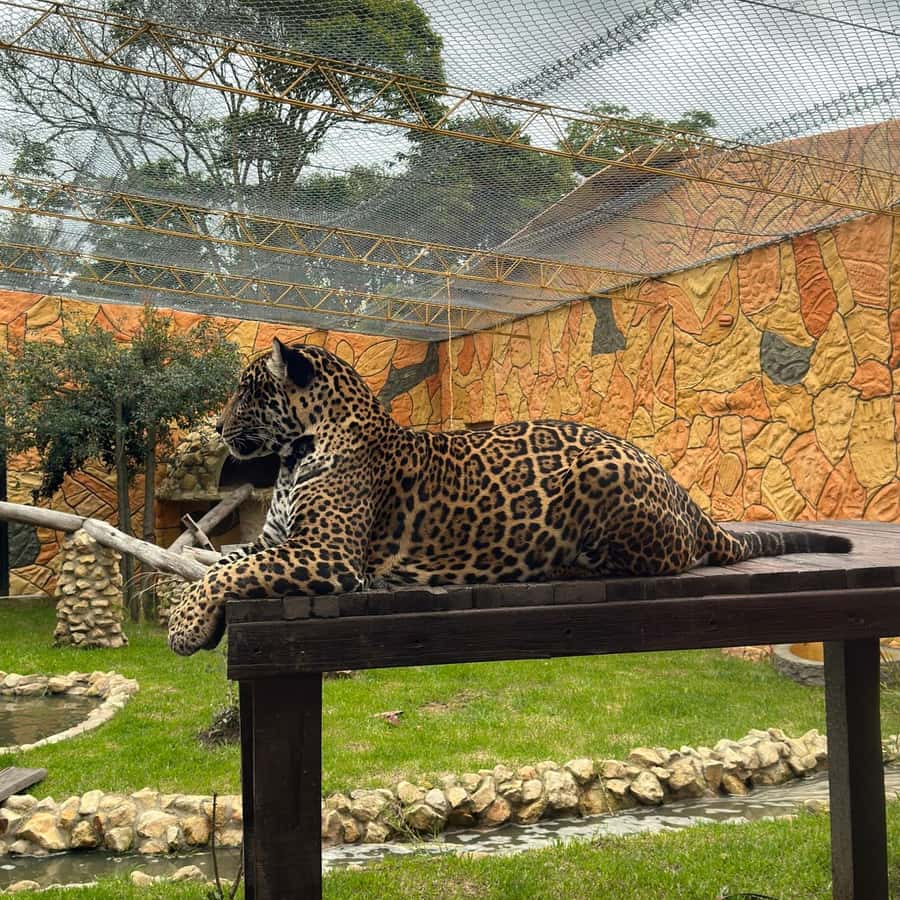 De Bogotá: Parque Jaime Duque e zoológico com ingresso incluído |  GetYourGuide, image size:900x900