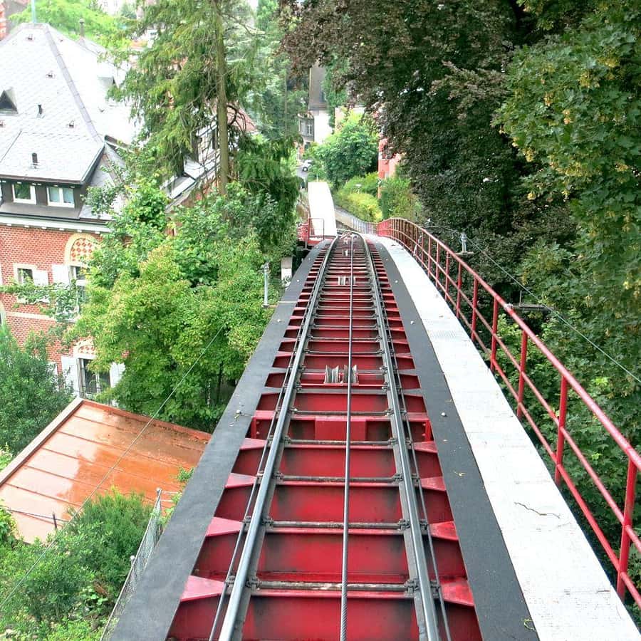 チューリッヒの移動サービスアドベンチャー：歯車、ケーブルカー、ボートツアーをご案内いたします | GetYourGuide