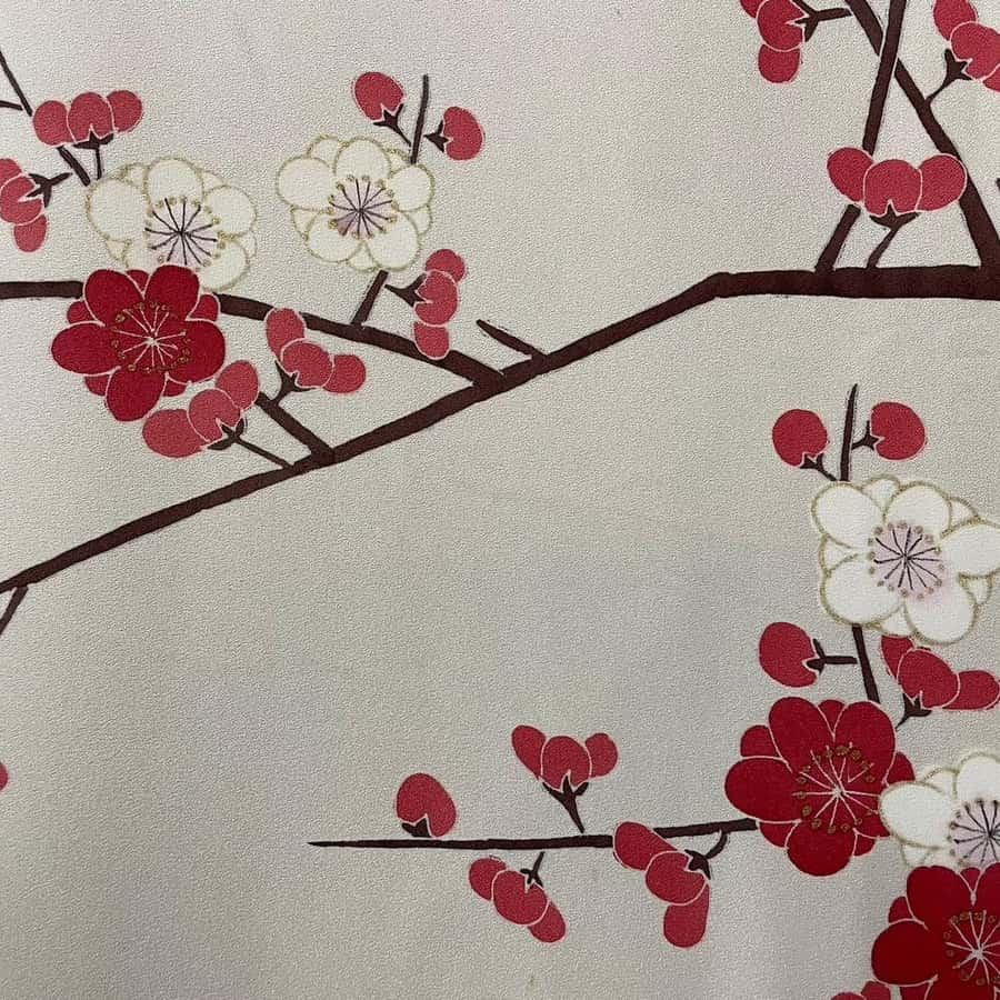 京都：伝統的な友禅染め体験 | GetYourGuide