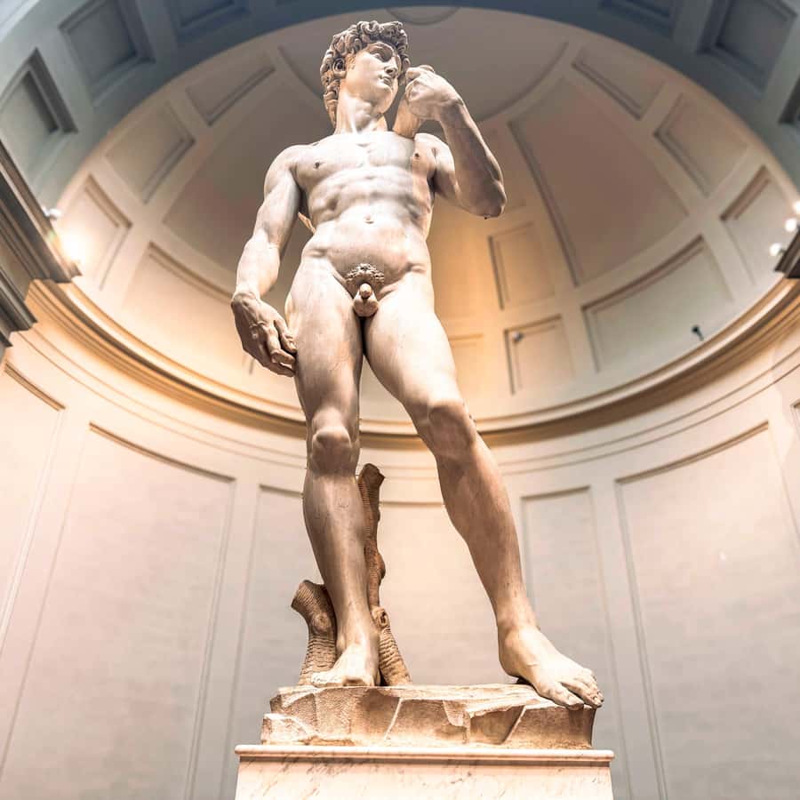 フィレンツェ：アカデミア美術館 + デビッド入場券 + アグディオガイド