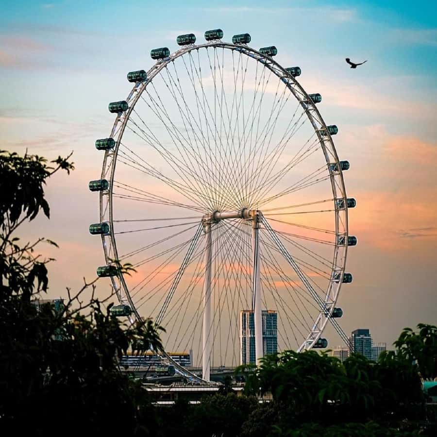 新加坡：新加坡摩天轮入场券| GetYourGuide