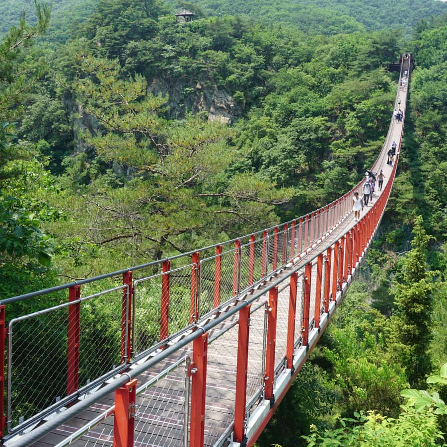 Seoul: DMZ Tour with Optional Suspension Bridge | GetYourGuide