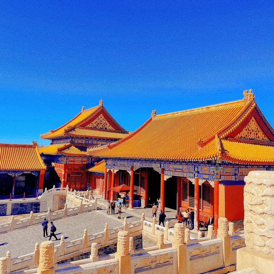 ba40a6a8b6a89f7185b57856a2b139