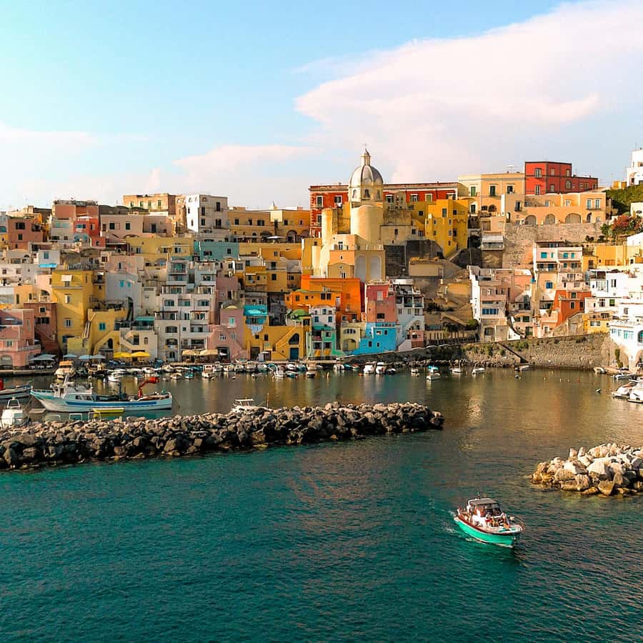 THE BEST 10 Beer Tours Trending near DANA POINT, CA - Hop On Safari, Best  Coast Tours, Van'N Boozy Temecula Wine Tours - Updated 2026 - Yelp, image size:900x900