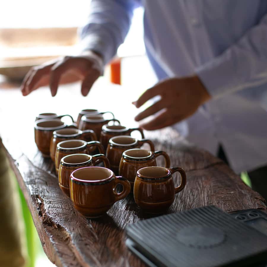 Medellin: Coffee Tour, Horseback Arrival, and Sugar Cane | GetYourGuide, image size:900x900