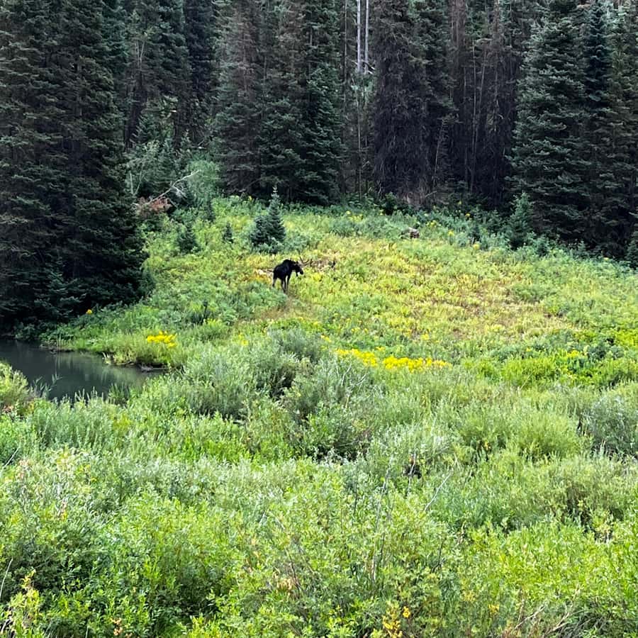 盐湖城最佳峡谷私人一日游| GetYourGuide