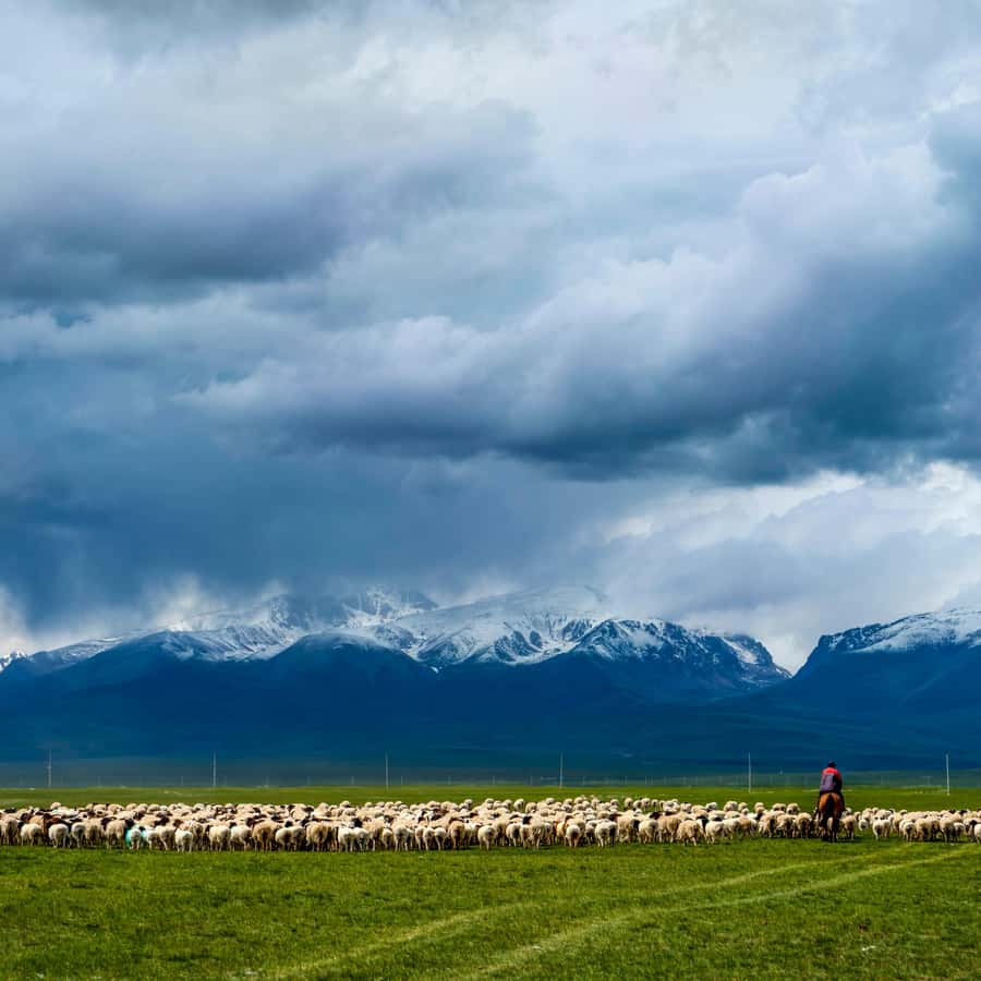 Pamir Highway 7-tägiges Abenteuer 2026 – Duschanbe (Tiefpreisgarantie), image size:900x900