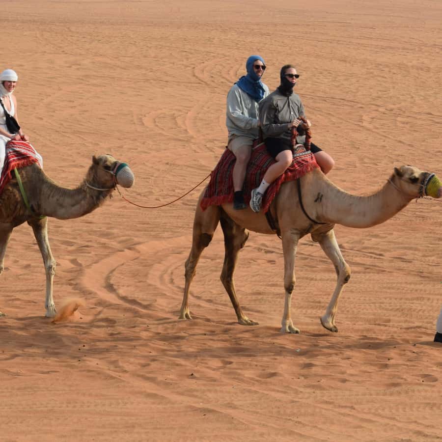 ドバイ：砂漠サファリ、クワッドバイク、ラクダ乗り、サンドボード