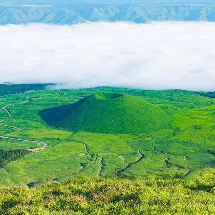 c31e9918d5ede2091d15c8aa177dc3