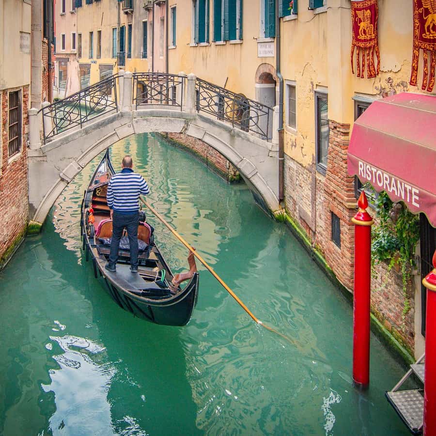 Prepararse para viajar con su familia | Austrian Airlines, image size:900x900