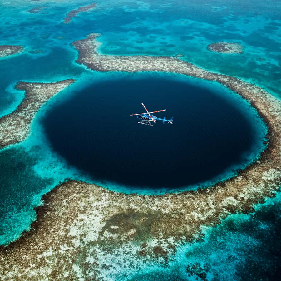 ブルーフラワーヘリテイジ あじさい枝付き ブルー・グリーン系 ドライフラワー 【 Sサイズ