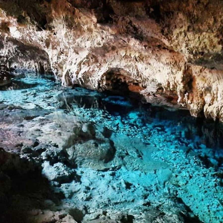 Kuza Cave, Jozani Forest, The Rock, Salaam Cave Tour | GetYourGuide