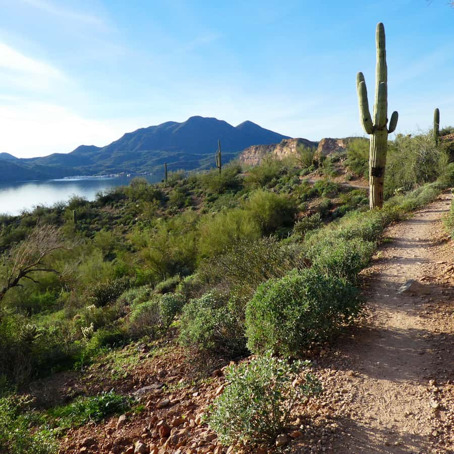 梅萨萨瓜罗湖景徒步旅行| GetYourGuide