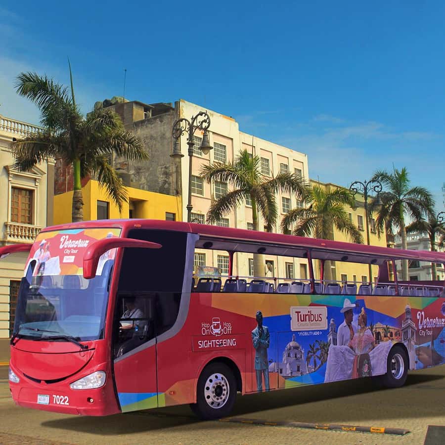 베라크루즈: 파노라마 관광 시티 버스 투어 | GetYourGuide