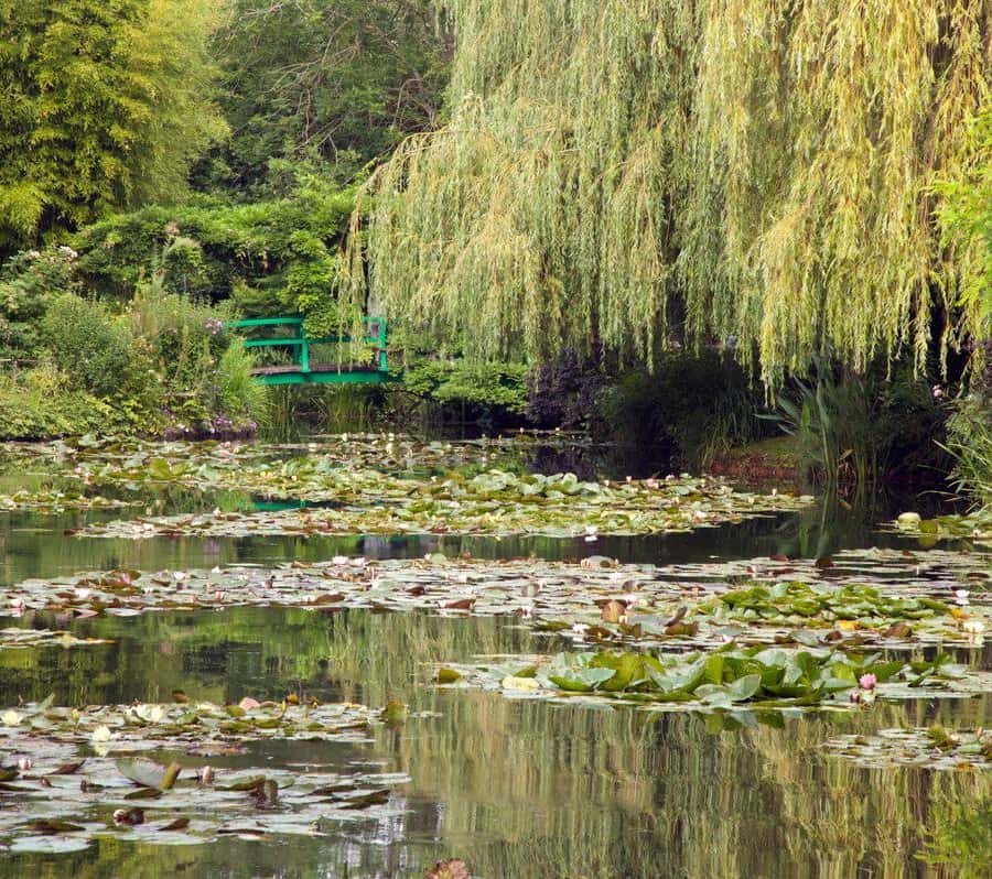 パリ発：ジヴェルニー＆モネの家 待ち時間なしツアー | GetYourGuide
