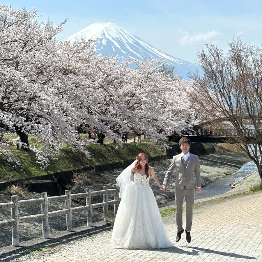 Tour privado del Monte Fuji y Hakone T/F Tokio, Yokohama hasta 12 |  GetYourGuide, image size:900x900