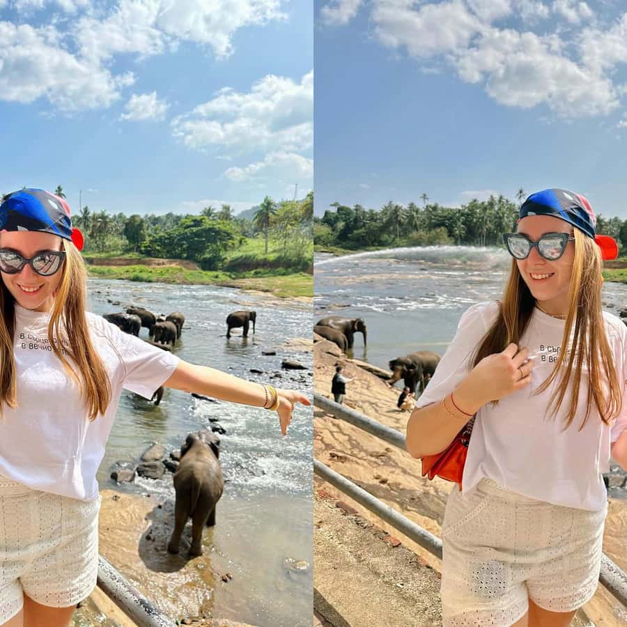 De Colombo: Templo do Dente de Buda e Orfanato de Elefantes de Kandy |  GetYourGuide, image size:900x900