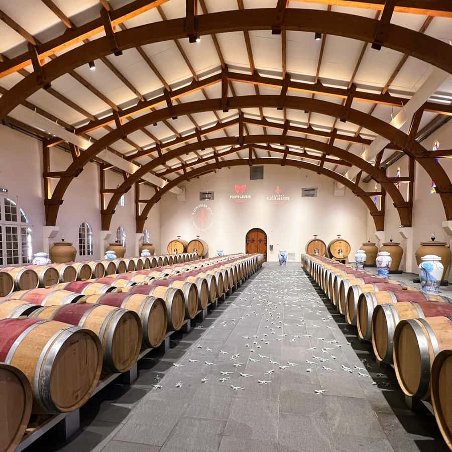 Burdeos: Médoc y Saint-Émilion, 3 châteaux con almuerzo | GetYourGuide, image size:900x900