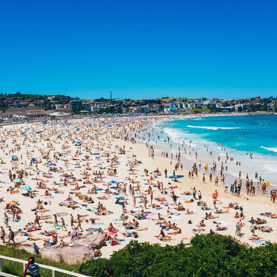 Sydney: Bondi Beach, Ópera y Visita Privada a la Ciudad de Sídney | GetYourGuide