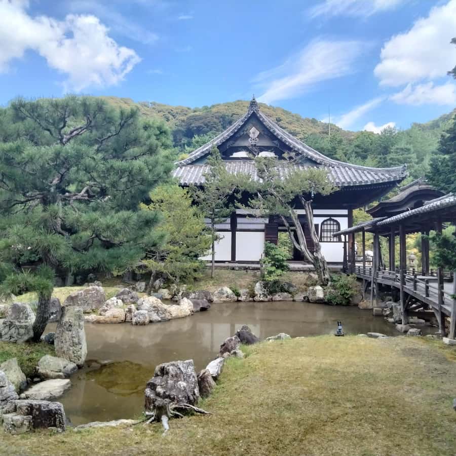京都：趣のある庭園に囲まれた高台寺を散策する | GetYourGuide