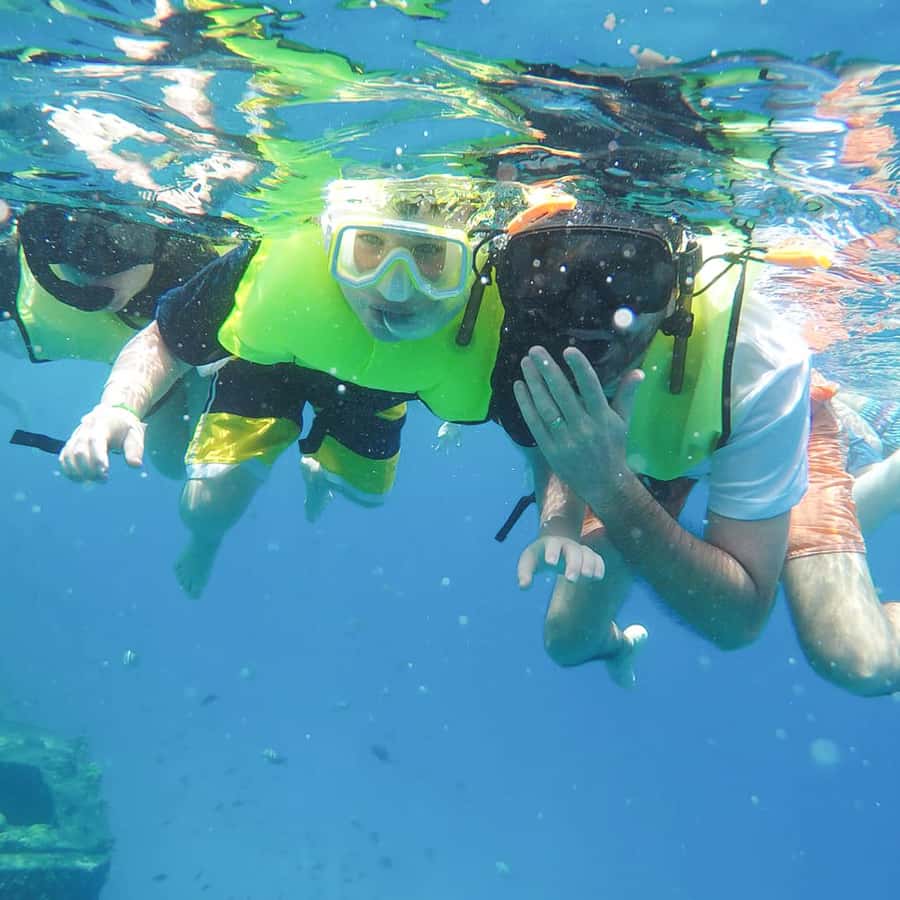 Bridgetown: Carlisle Bay Turtle and Shipwreck Boat Cruise