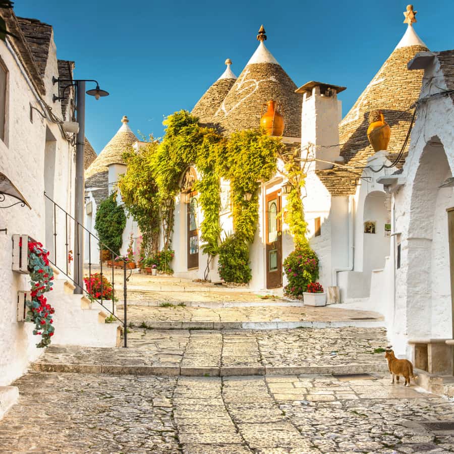 Lecce Food Tours, image size:900x900