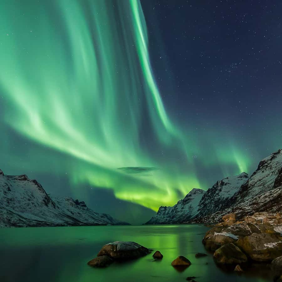 Depuis Reykjavik : Visite privée des aurores boréales | GetYourGuide, image size:900x900