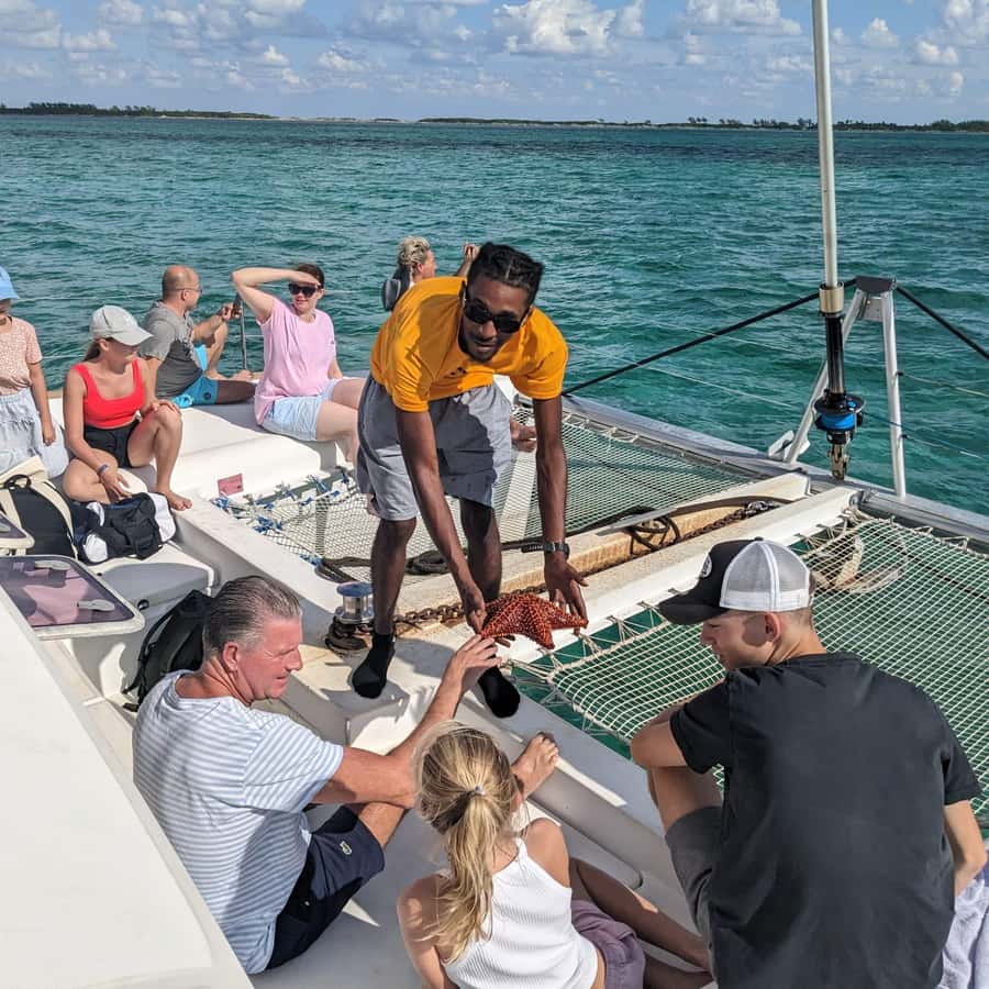 Nassau: Trip to Pig Beach and 3 Snorkeling Stops with Lunch