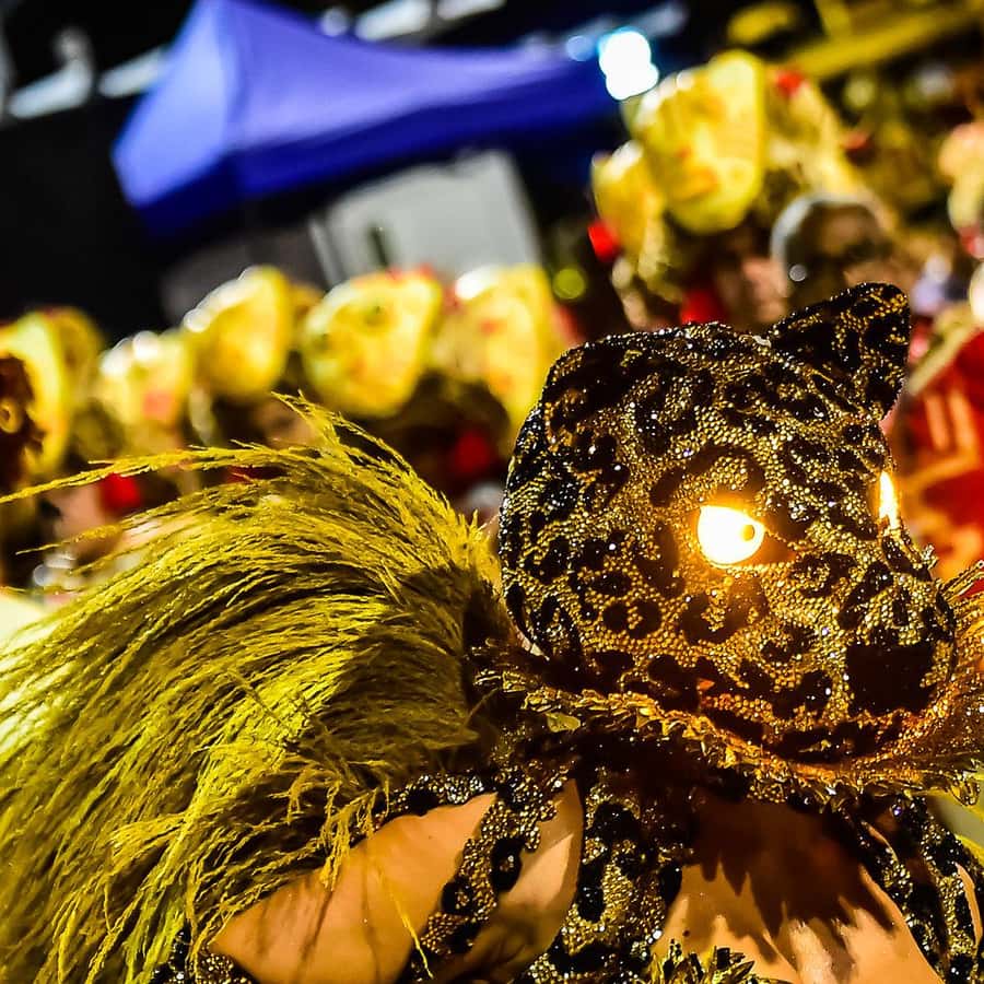 リオ・カーニバル2026：サンバドローモ セクター9 指定席チケット