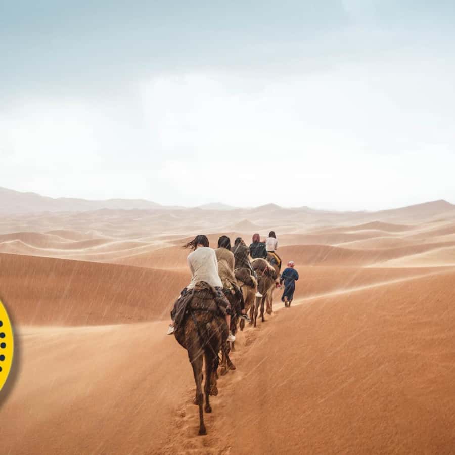 Page 4: Marcel Duchamp Paintings \u0026 Artwork for Sale | Marcel Duchamp Art  Value Price Guide, image size:900x900