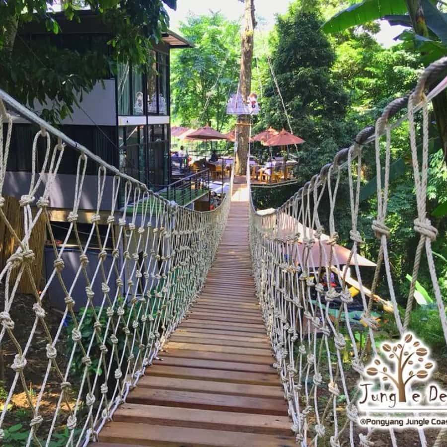 チェンマイ：ポンヤン ジャングル コースターとジップライン ツアー