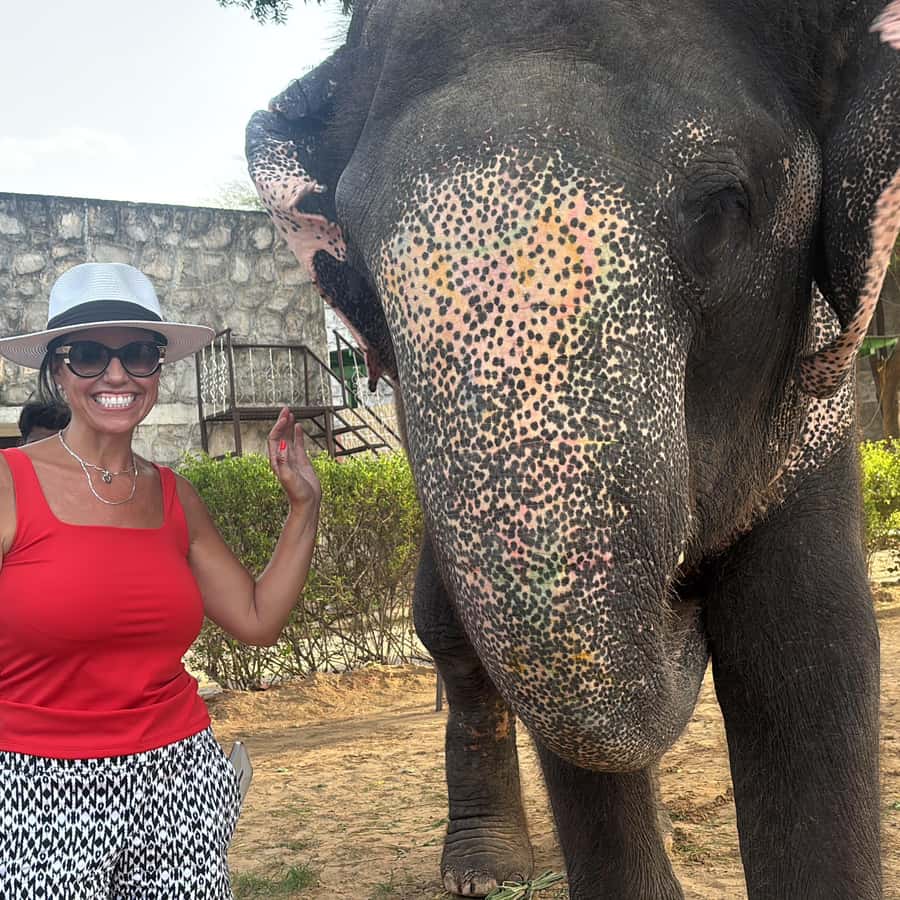 Au départ de Delhi : circuit « Lever du soleil au Taj Mahal et conservation  des éléphants ». | GetYourGuide, image size:900x900