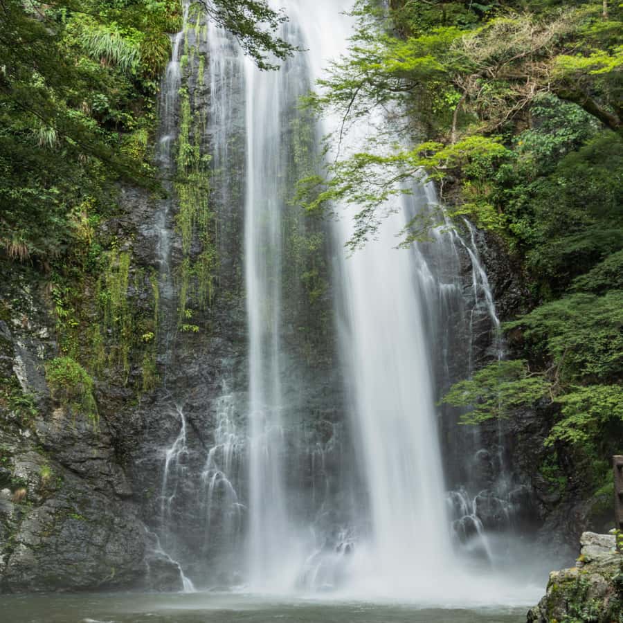 Katsuoji Daruma Temple & Minoh Waterfall Private Tour by Car