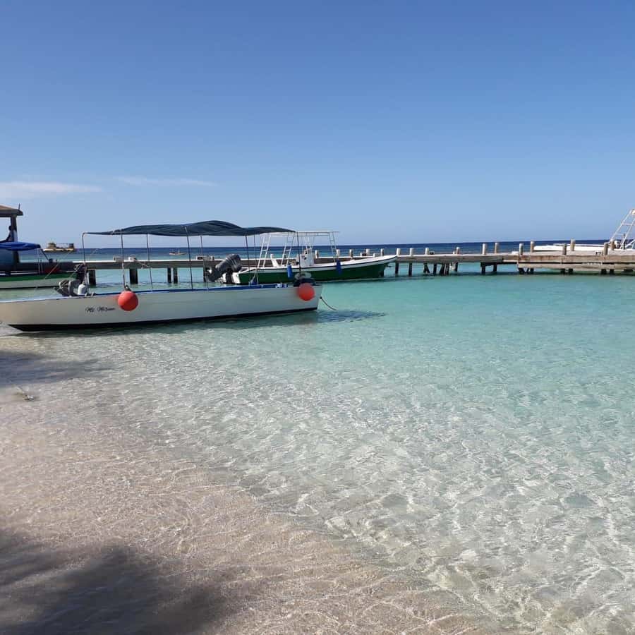 罗阿坦快速无压力之旅| GetYourGuide, image size:900x900