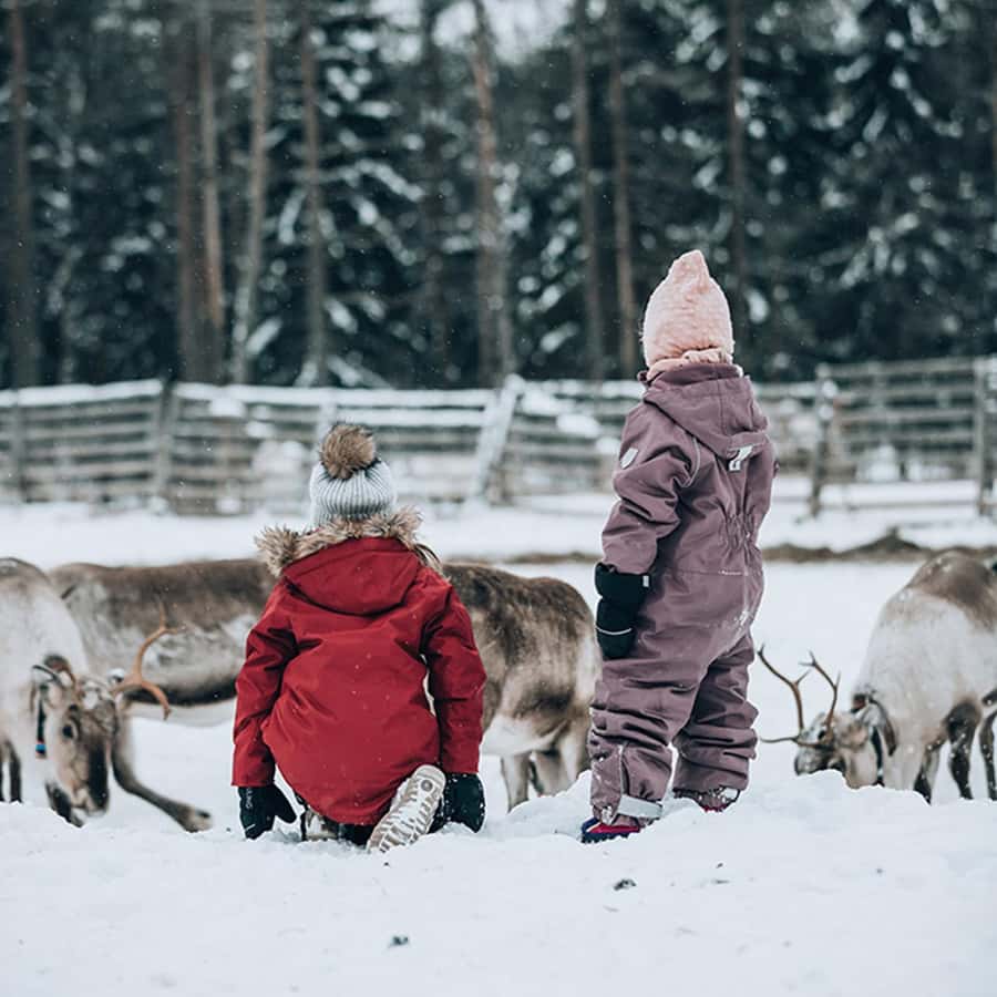 クーサモトナカイぞりと牧場訪問 | GetYourGuide