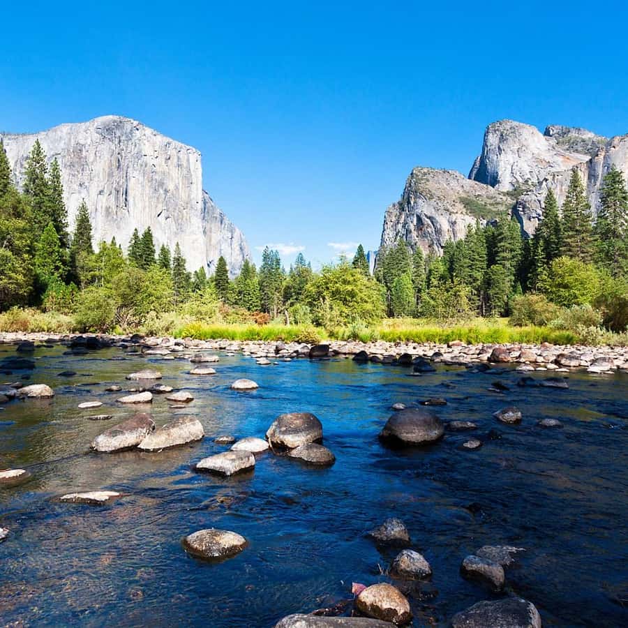 05-Yosemite y Sequoia National Parks-USA 2024 - El Viajero Marco Polo, image size:900x900