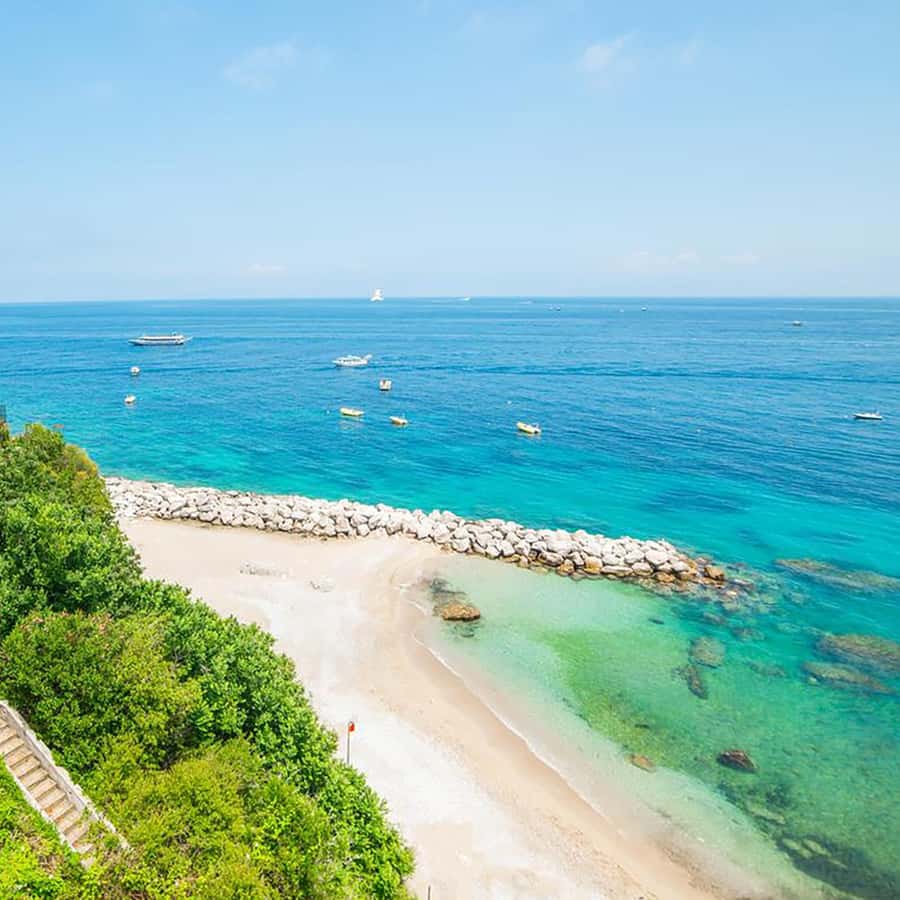 Discover Starlite: A Unique Restaurant in San Diego, image size:900x900