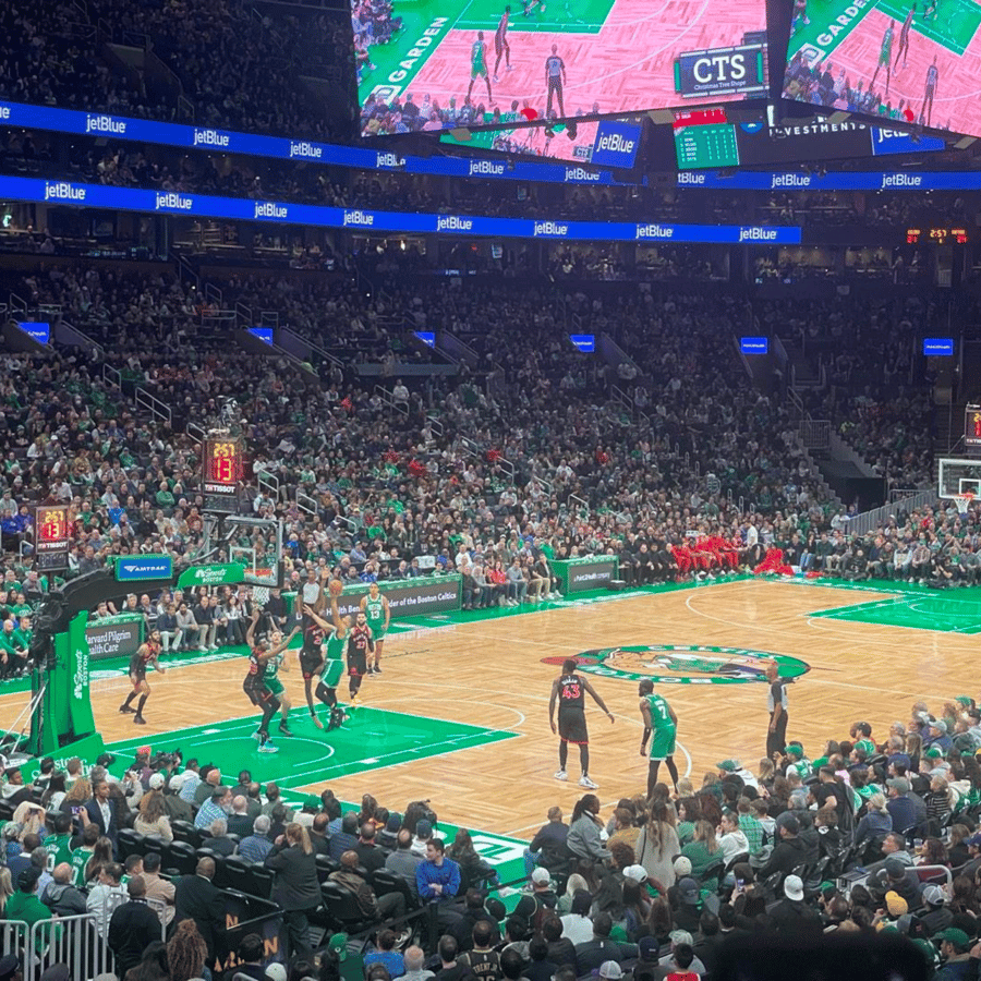 Boston Celtics | Professional Sports | Things To Do, image size:900x900