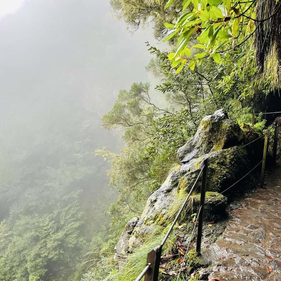 マデイラ島：PR 9 - レヴァダ・ド・カルデイロン・ヴェルデ・ハイキング移動 | GetYourGuide