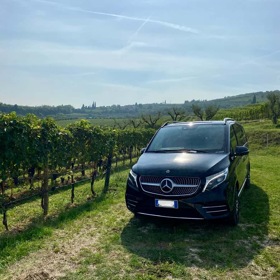 70岁好莱坞传奇演员布鲁斯·威利斯已安排后事，将捐献大脑用于医学研究，曾被誉为好🥹#一直超级喜欢，可是却忘记他已经70岁#太多经典了，这结局真让人遗憾。。。  | Peguin Mi Mi | Facebook, image size:900x900