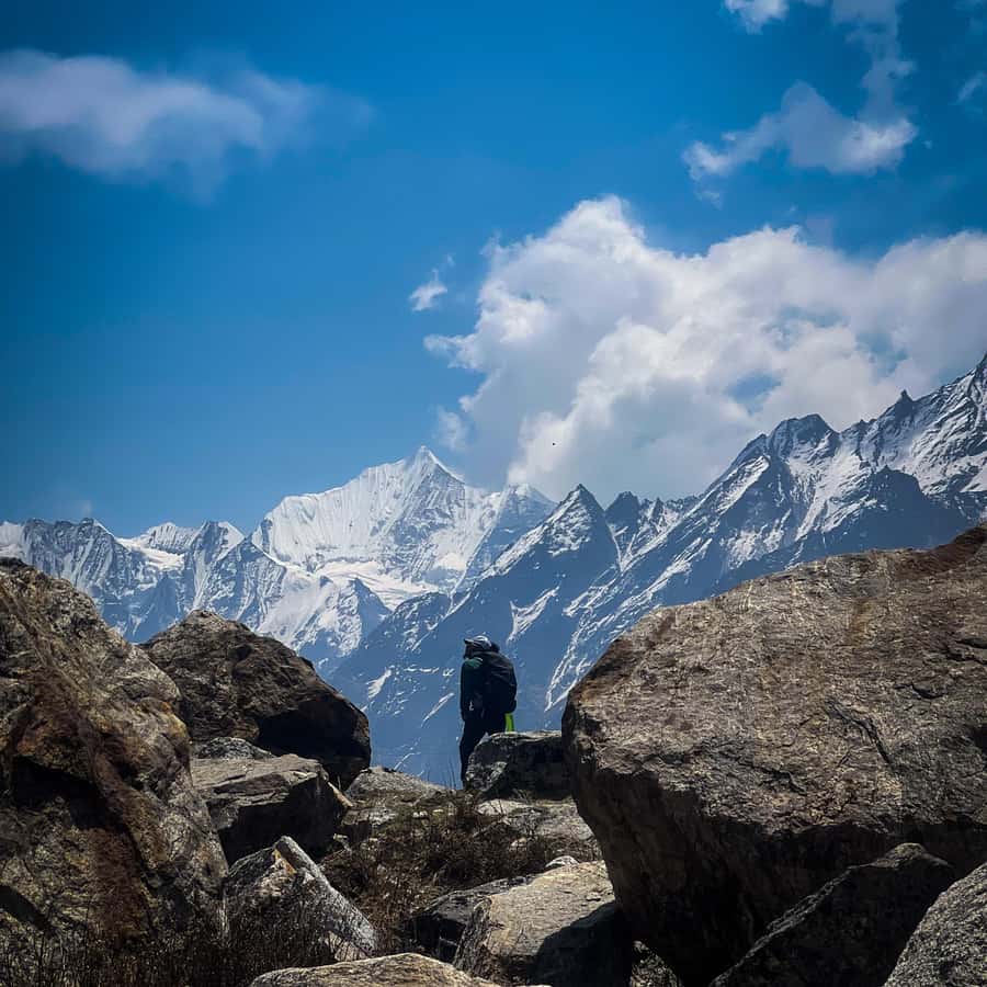 朗唐山谷徒步旅行：8 天尼泊尔喜马拉雅探险之旅| GetYourGuide