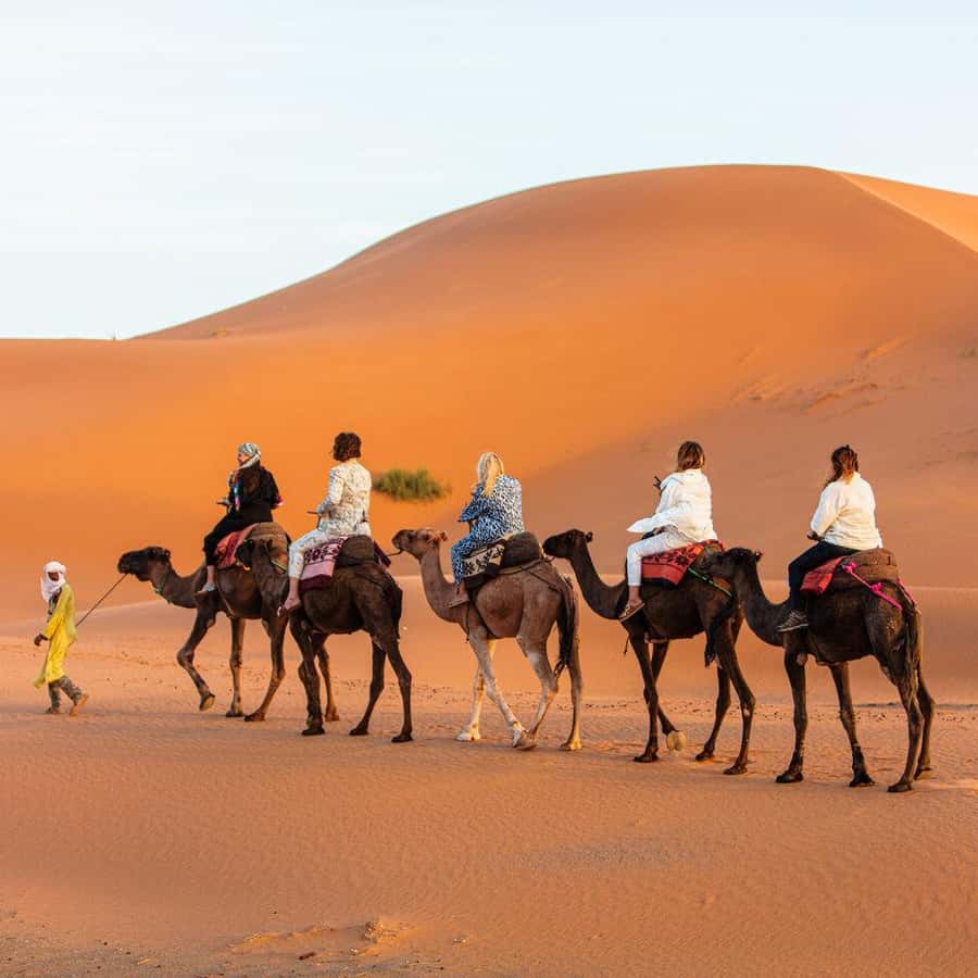梅尔祖卡：豪华营地住宿1 晚。骑骆驼和晚餐| GetYourGuide