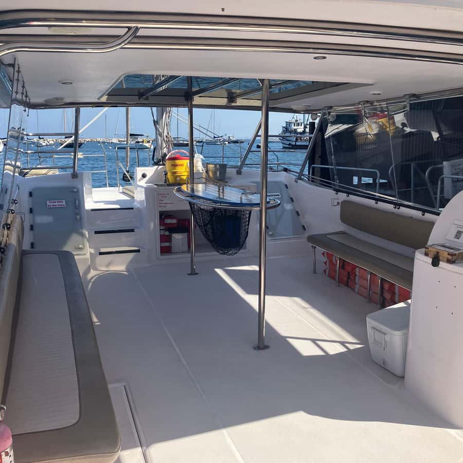 Monterey: Catamaran Sailing Cruise | GetYourGuide